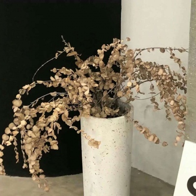 Furry绘画色彩搭配兽圈群